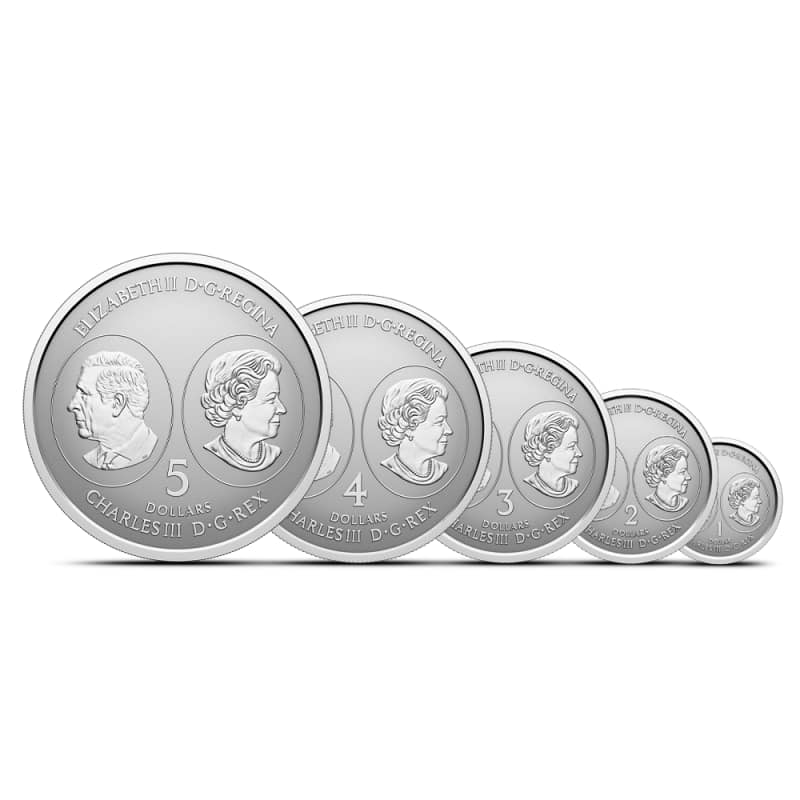 2026 Proof Canadian Silver Maple Leaf Double Effigy 5-Coin Set l