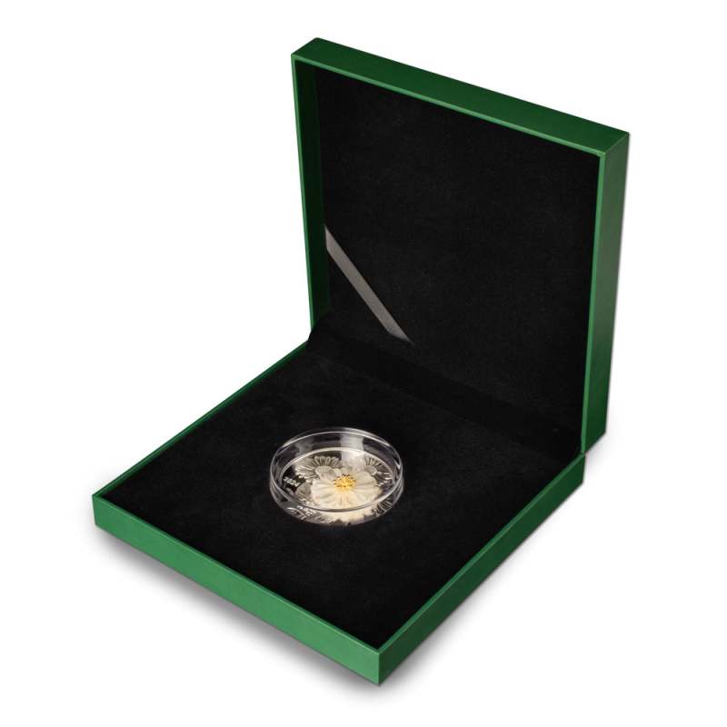 2024 2 oz Proof Solomon Islands Silver 3D Daisy Flower Coin l JM
