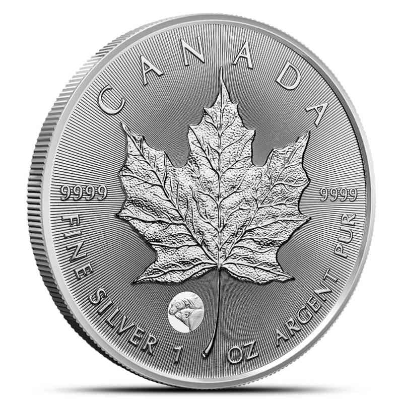 2025 1 oz Canadian Silver Treasured Maple Leaf Polar Bear Privy