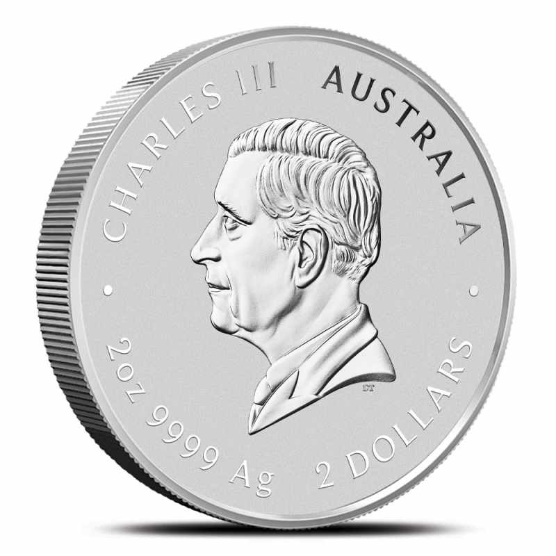 2025 2 oz Colorized Australian Silver Lunar Snake Coin l JM Bullion™
