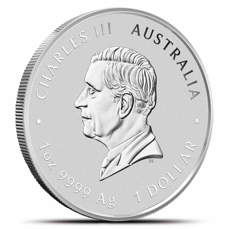 2025 1 oz Colorized Australian Silver Lunar Snake Coin l JM Bullion™