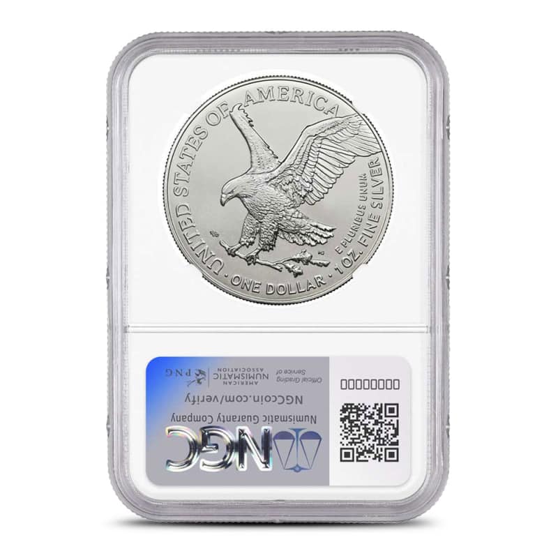 2024 (P) 1 oz Star Privy American Silver Eagle Coin NGC MS69 l JM