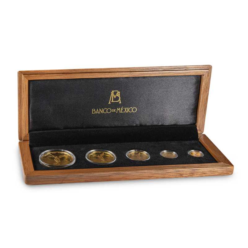 2023 Proof Mexican Gold Libertad 5-Coin Set l JM Bullion™