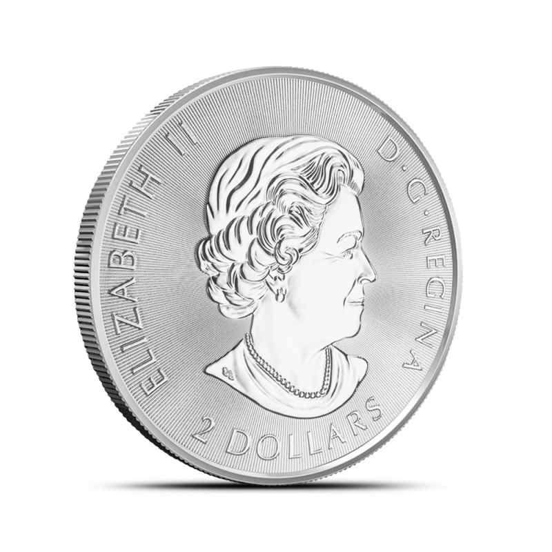 2020 1/2 oz Canadian Silver Red-Tailed Hawk Coin l JM Bullion™