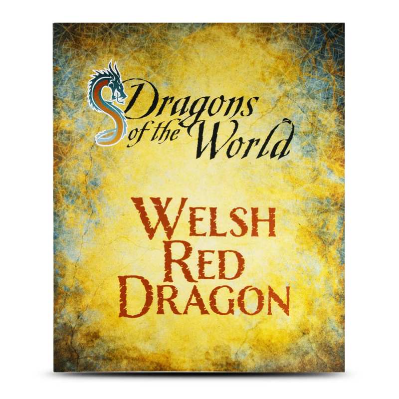 2022 1 oz Antique Fiji Silver Welsh Red Dragon Coin l JM Bullion™