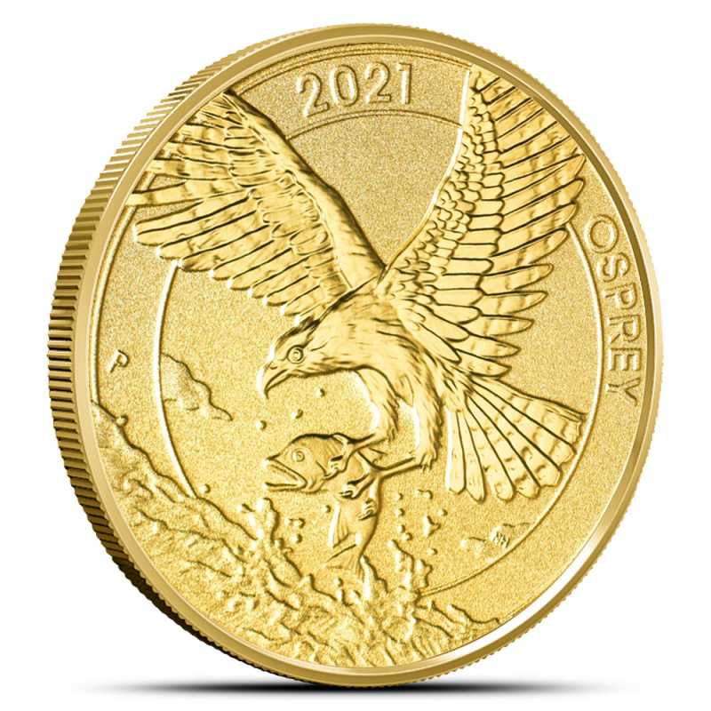 2021 1/4 oz Australian Gold Osprey Coin l JM Bullion™