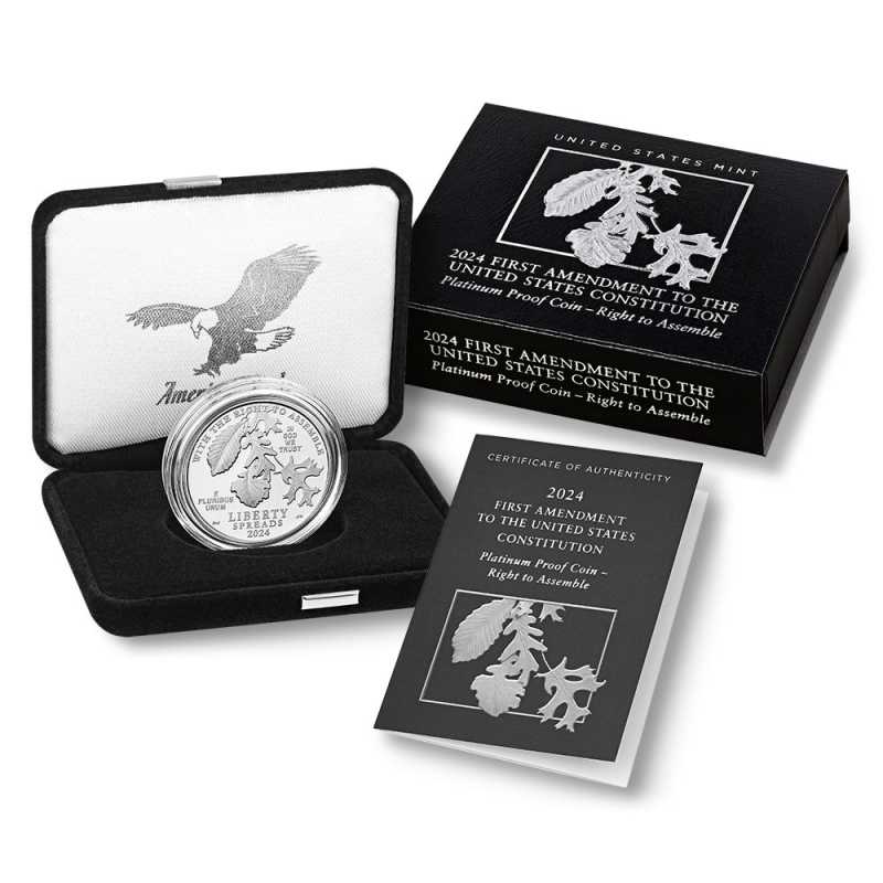 2024-W 1 oz Proof American Platinum Eagle Coin l JM Bullion™