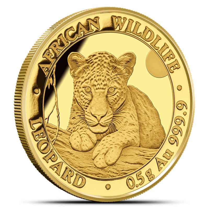 2025 1/2 Gram Somalia Gold African Wildlife Leopard Coin l JM Bullion™