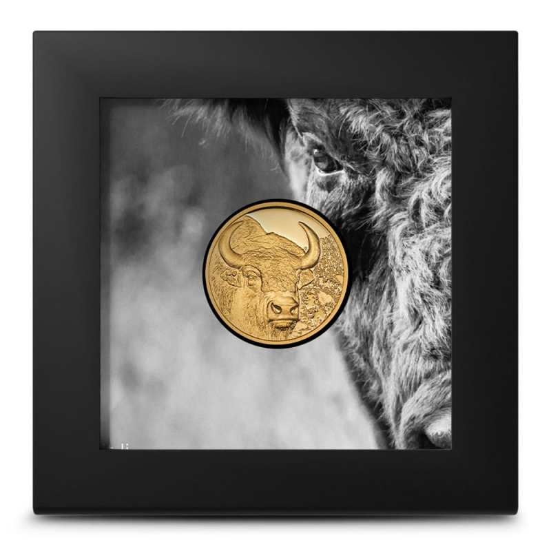 モンゴル 金貨 2003 1/10 oz Gold MONGOLIA 2023 CIT Wild Mongolian Falcon 1/10 oz Ultra High Relief Proof