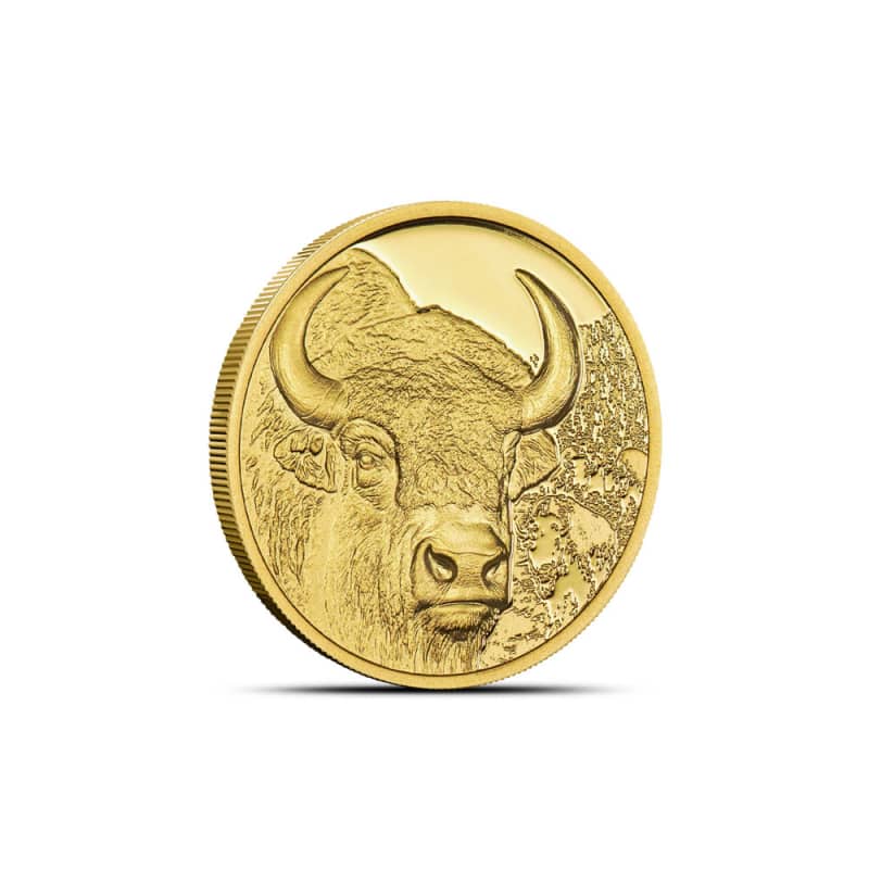 モンゴル 金貨 2003 1/10 oz Gold MONGOLIA 2025 1/10 oz Proof Mongolia Gold Bison Coin l JM Bullion™
