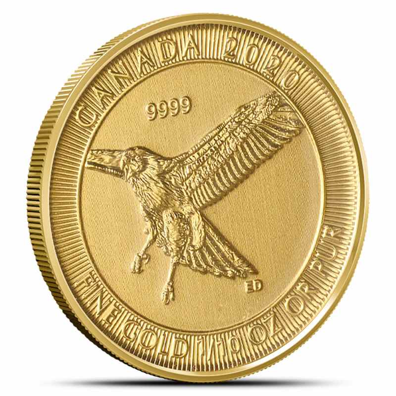 2020 1/10 oz Canadian Gold Red-Tailed Hawk Coin l JM Bullion™