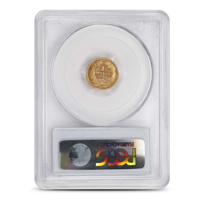 1881 Pre-33 $1 Indian Princess Gold Coin PCGS PR64 CAM CAC (Large