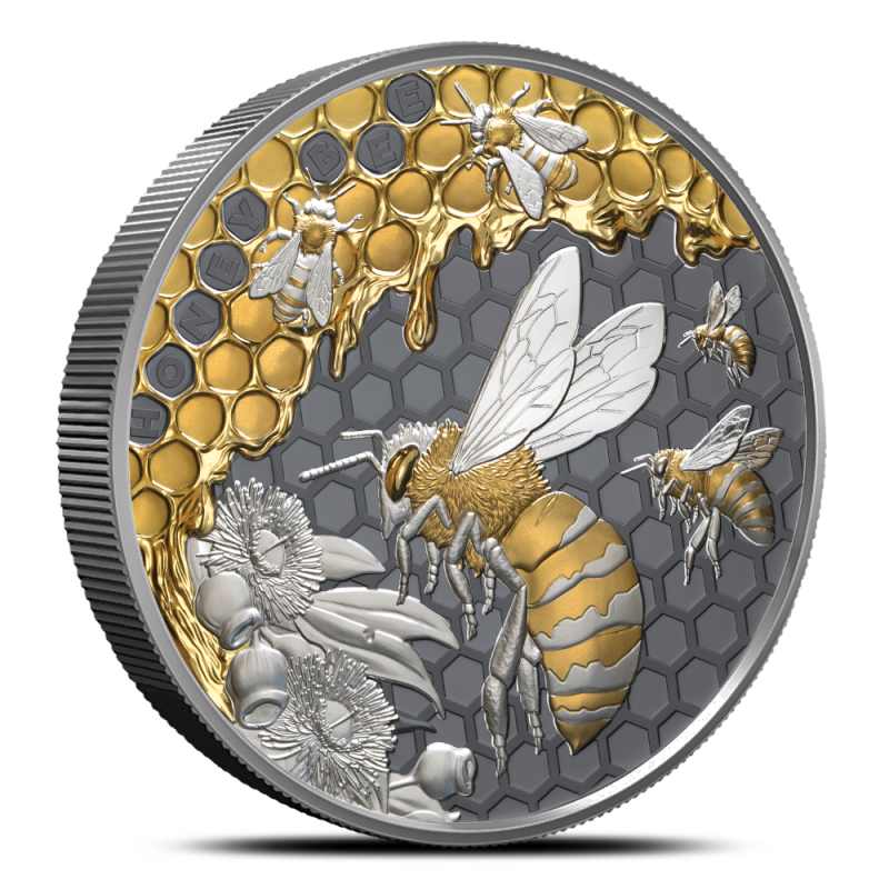 2026 5 oz Black Proof Niue Silver Honey Bee Coin l JM Bullion™