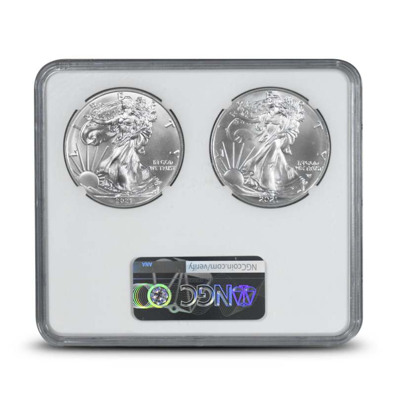 2021 1 oz American Silver Eagle 2-Coin Set NGC MS69 (T1, T2) l JM