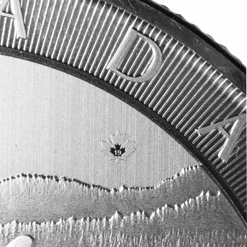 2019 10 oz Canadian Silver Orca Whale Coin l JM Bullion™