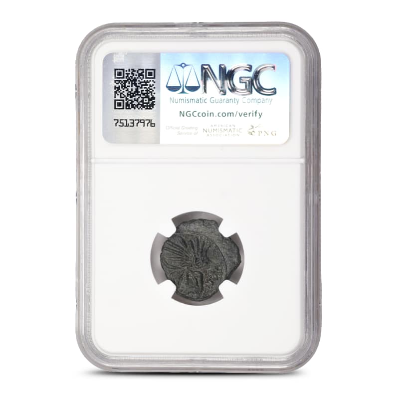 Byzantine Empire Leo V & Constantine AE Follis NGC Ch AU l JM Bullion™