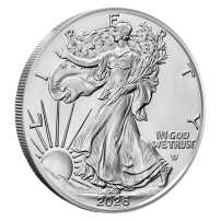 Best Selling Silver