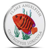2025 1 oz Colorized Proof Pitcairn Islands Silver Flame Angelfish Coin (Box + CoA)