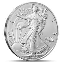 2025-W 1 oz Burnished American Silver Eagle Coin (Box + CoA)
