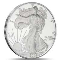C*e様 2001 American Eagle Silver Dollar 2001 American Silver Eagle - Currency and Coin