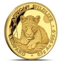 2025 1/2 Gram Somalia Gold African Wildlife Leopard Coin (BU)