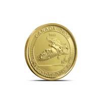 2020 1/10 oz Canadian Gold Bald Eagle Coin