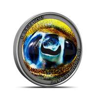 2022 1/2 oz Antique Colorized Niue Silver Wild Africa Series Bigfin Reef Squid Coin