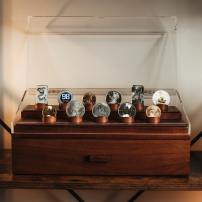 Walnut Coin Chest Display Case w/ Storage