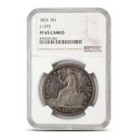 1873-P T$1 Patterns - Patterns NGC PR65 CAMEO J-1293