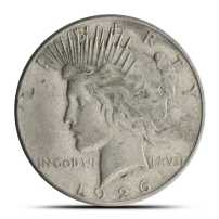 Morgan and/or Peace Silver Dollar Coin (Cull)