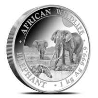 2026 1 Kilo Somalia Silver Elephant Coin (BU)