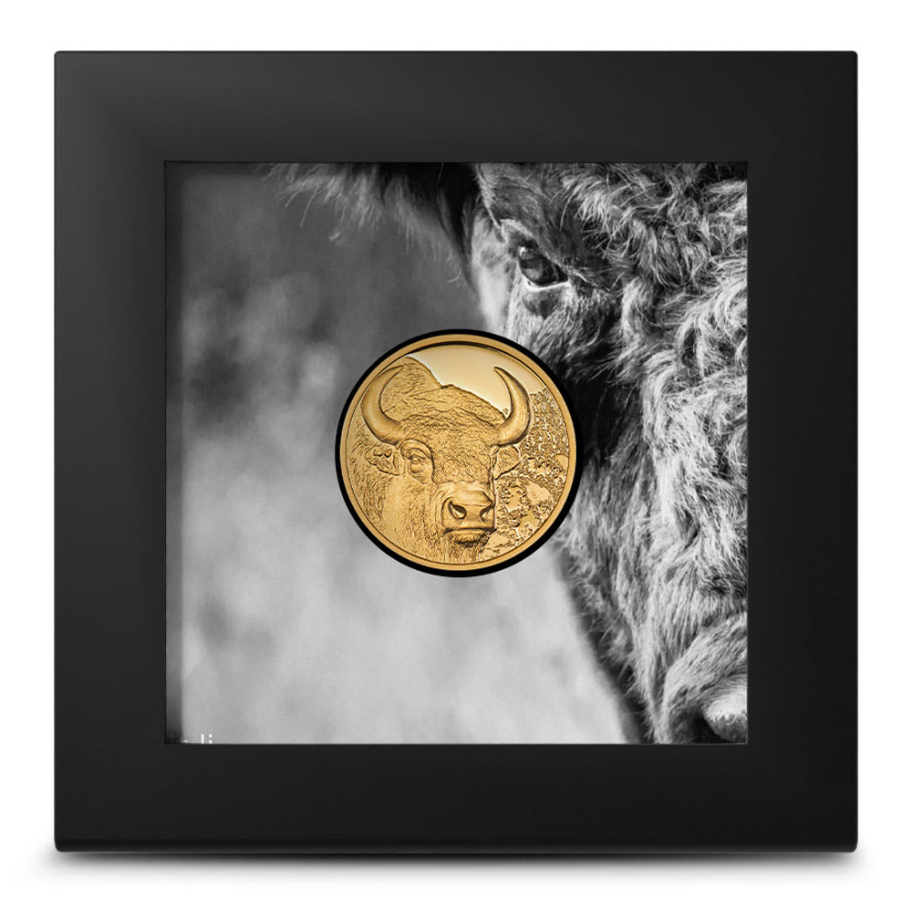 2025 1/10 oz Proof Mongolia Gold Bison Coin l JM Bullion™