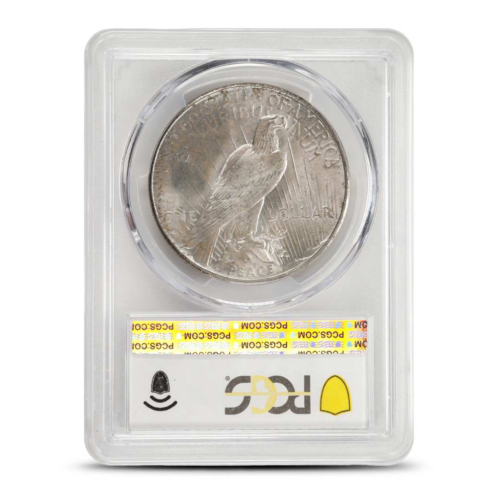 1916-1930 Standing Liberty Quarter - The Scandalous Coin, image size:1000x1000