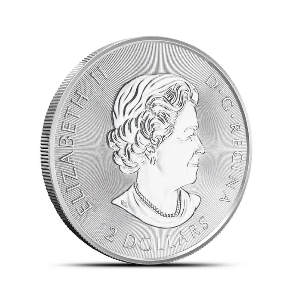 2020 1/2 oz Canadian Silver Red-Tailed Hawk Coin l JM Bullion™